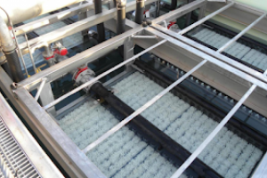Nguyên lý và ứng dụng màng MBR trong công nghệ xử lý nước thải