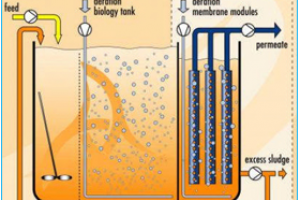 Công nghệ xử lý sinh học màng
