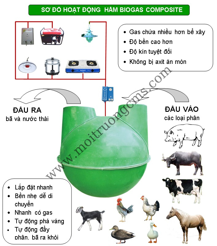 xử lý nước thải chăn nuôi hầm bioga