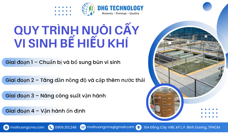 quy trinh nuoi cay vi sinh be hieu khi