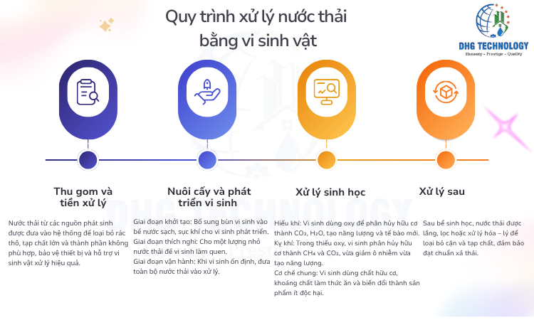 quy trinh xu ly nuoc thai bang vi sinh vat