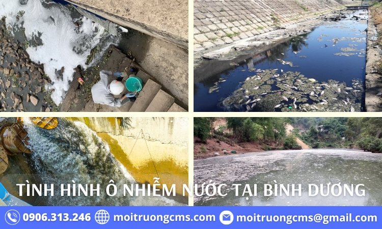 tinh hinh o nhiem nuoc tai binh duong